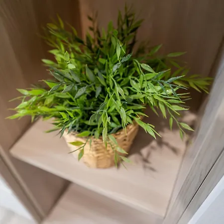 Sage&rosemary - With Garden By Pleiades * Pisa